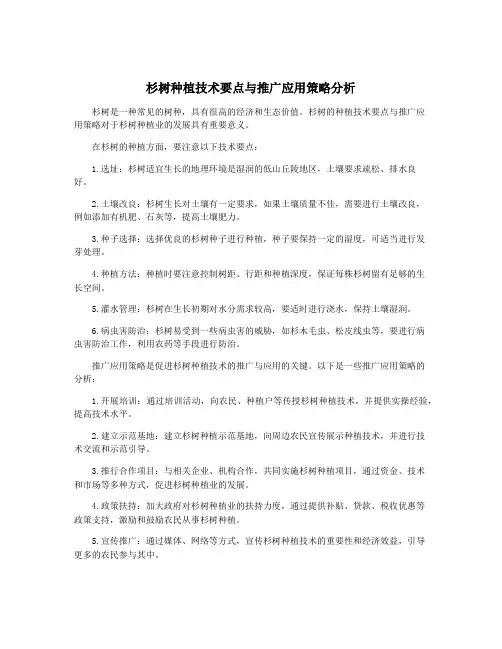 杉树种植技术要点与推广应用策略分析
