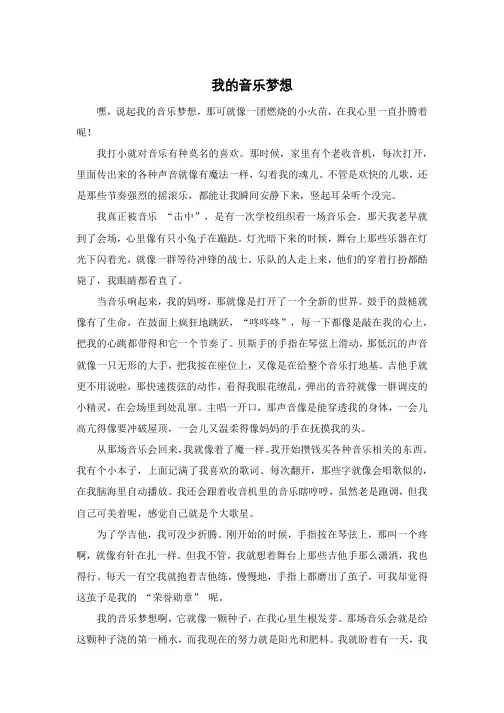 我的音乐梦想