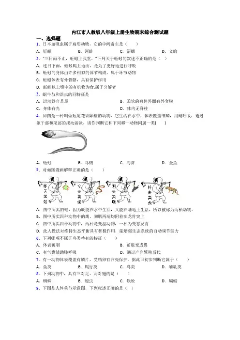 内江市人教版八年级上册生物期末综合测试题