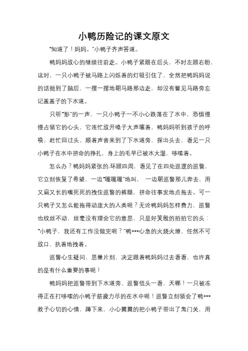 小鸭历险记的课文原文