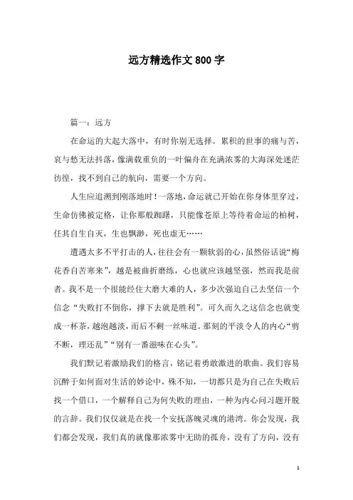 远方精选作文800字