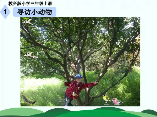 教科版PPT课件《寻访小动物》上课课件1