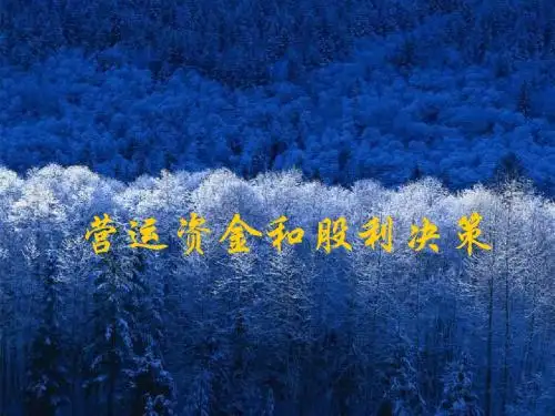 营运资金与股利决策