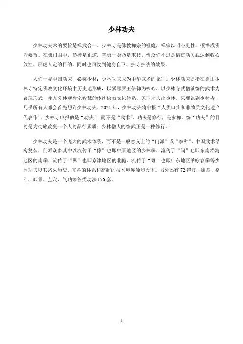 《少林功夫》优秀教学教案