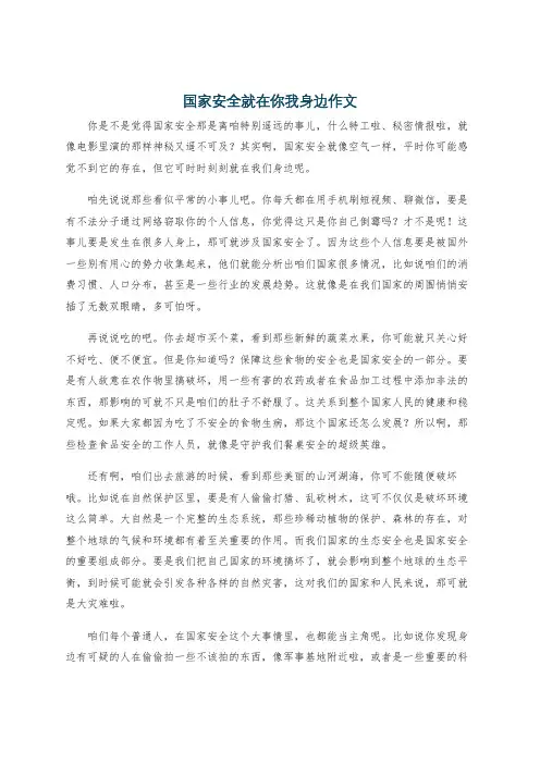 国家安全就在你我身边作文