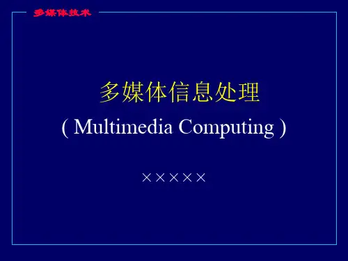 多媒体信息处理