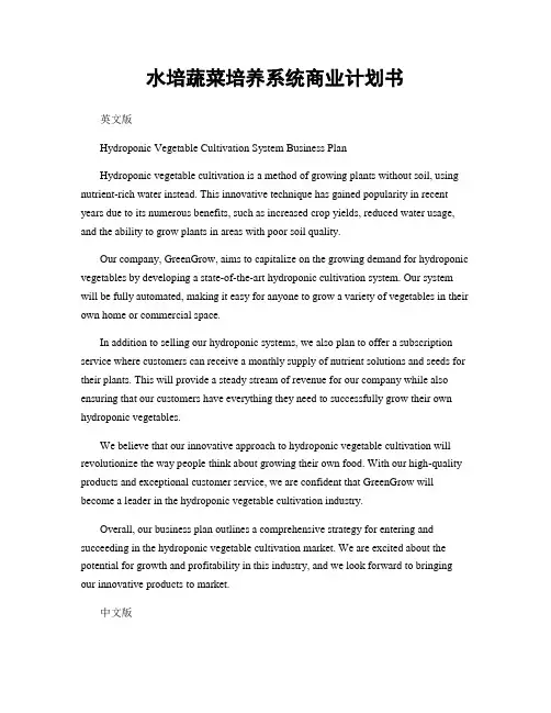 水培蔬菜培养系统商业计划书