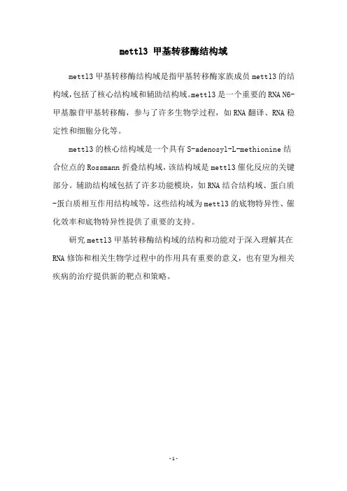 mettl3 甲基转移酶结构域