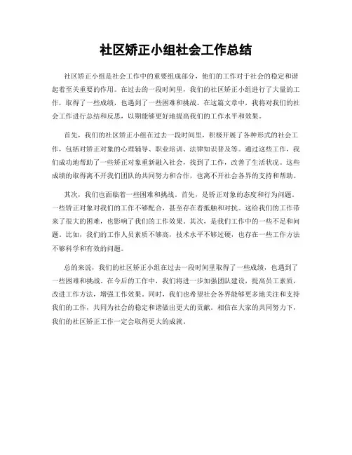 社区矫正小组社会工作总结