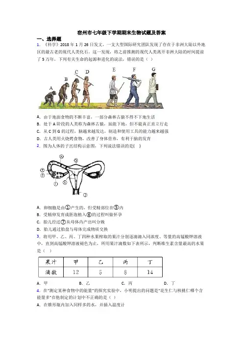 宿州市七年级下学期期末生物试题及答案