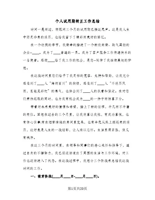 个人试用期转正工作总结(8篇)