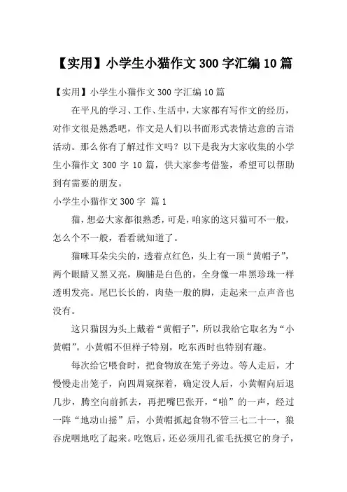 小学生小猫作文300字汇编10篇