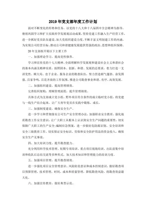 最新-2019年党支部年度工作计划 精品 (2)