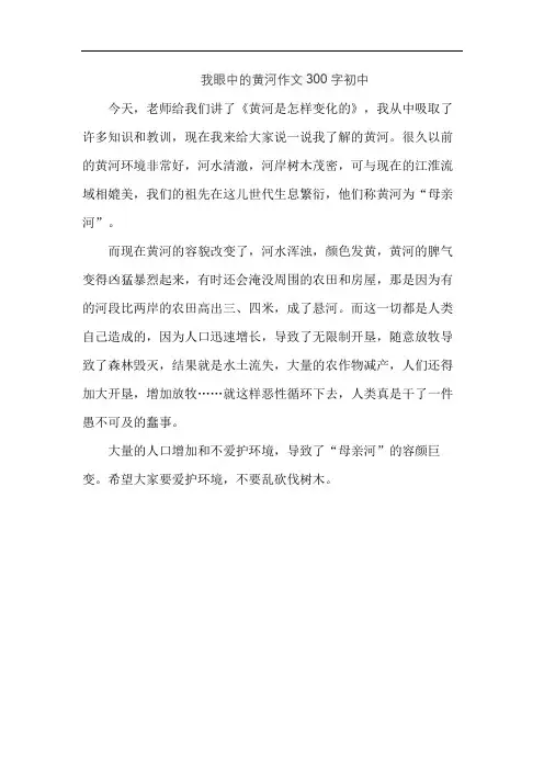 我眼中的黄河作文300字初中