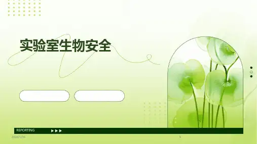 2024版实验室生物安全