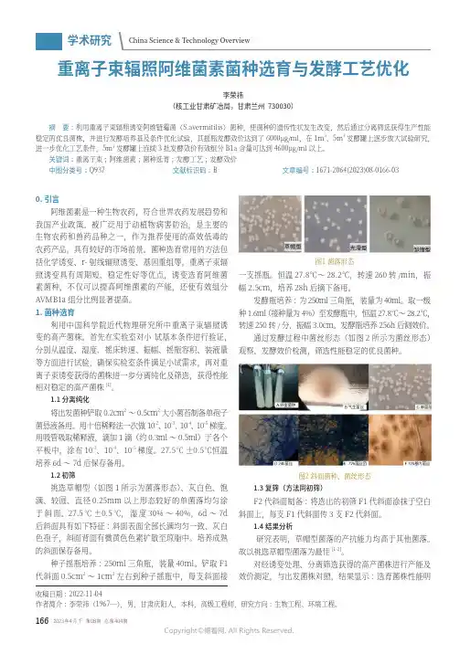 重离子束辐照阿维菌素菌种选育与发酵工艺优化