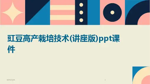 2024年度豇豆高产栽培技术(讲座版)ppt课件