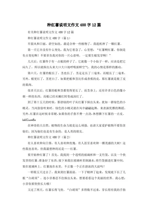 种红薯说明文作文400字12篇