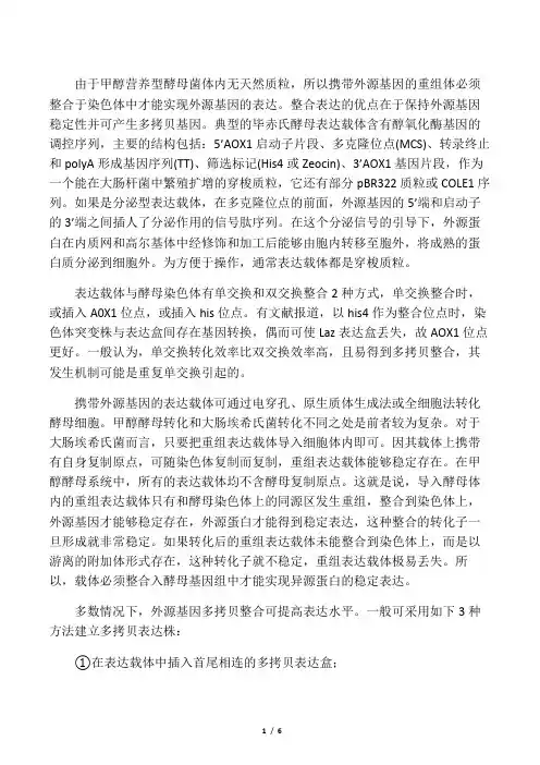 毕赤酵母表达载体及宿主菌介绍
