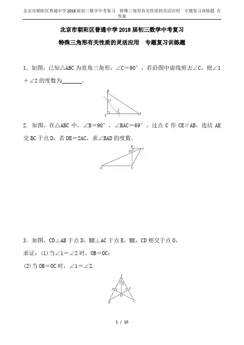 北京市朝阳区普通中学2018届初三数学中考复习  特殊三角形有关性质的灵活应用  专题复习训练题 含