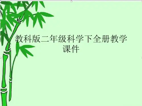 教科版二年级科学下全册教学课件(附目录)