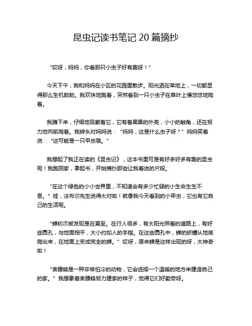 昆虫记读书笔记20篇摘抄