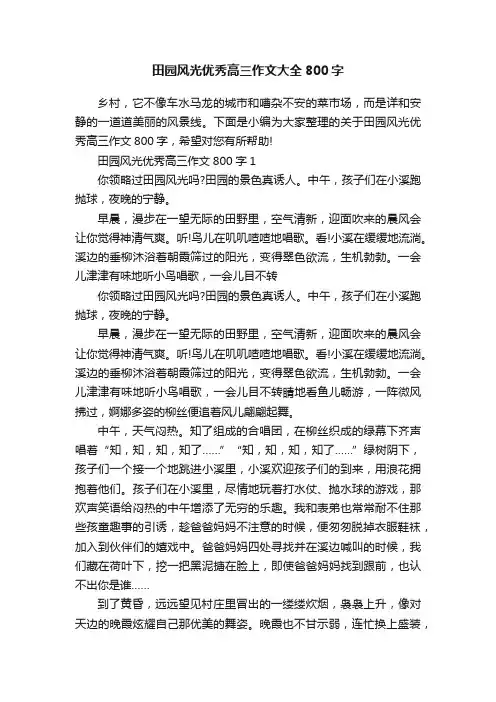 田园风光优秀高三作文大全800字