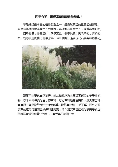 四季有景，用观赏草颠覆传统绿化！