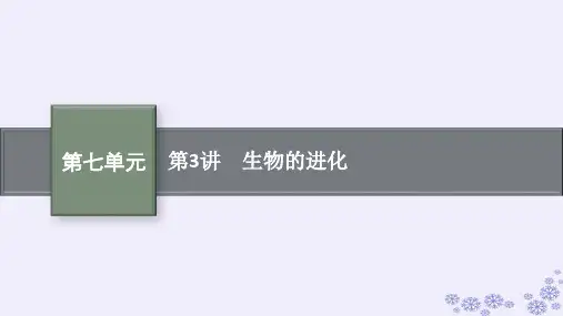 适用于新高考新教材2025届高考生物一轮总复习第7单元生物的变异和进化第3讲生物的进化课件新人教版