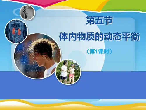 《体内物质的动态平衡》PPT(第一课时)