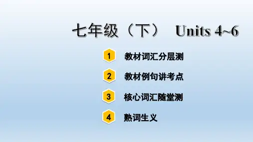 中考英语复习七年级(下)Units 4~6
