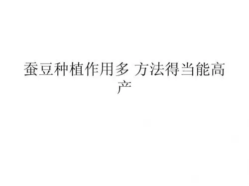 蚕豆种植作用多 方法得当能高产