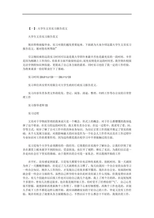 大学生政府行政实习报告范文