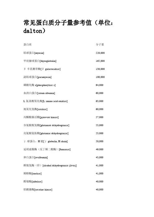 常见蛋白质分子量参考值