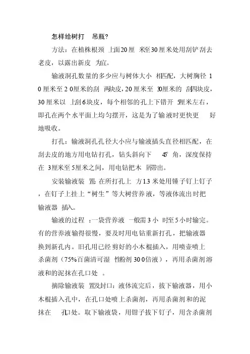 怎样给树打吊瓶