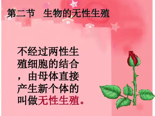 生物的无性生殖(925)PPT课件
