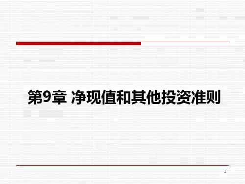 净现值和其他投资准则下