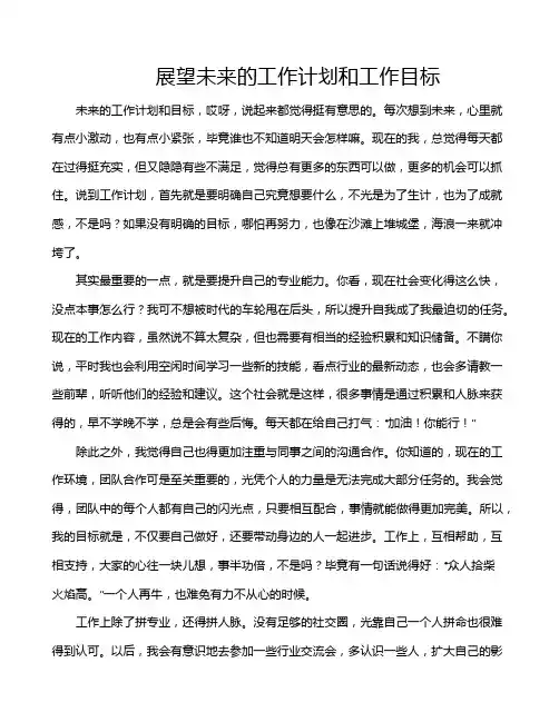 展望未来的工作计划和工作目标