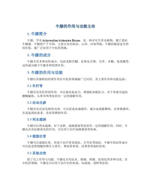 牛膝的作用与功能主治