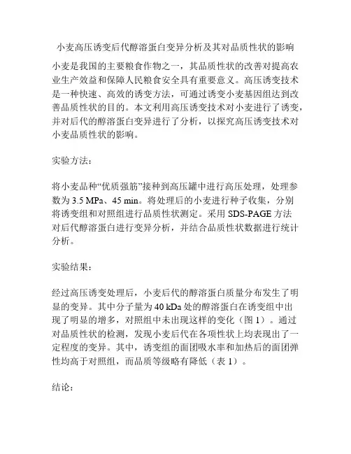 小麦高压诱变后代醇溶蛋白变异分析及其对品质性状的影响