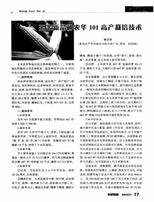 玉米新品种农华101高产栽培技术