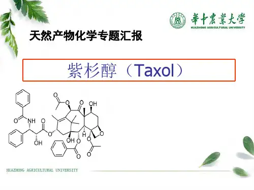 紫杉醇(Taxol)
