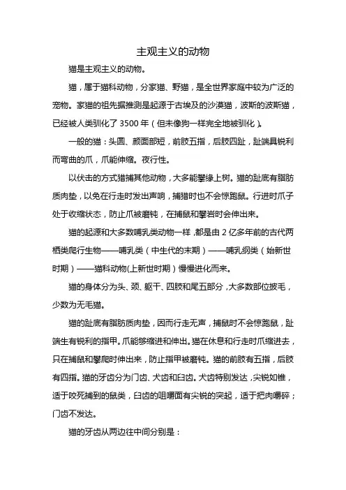 主观主义的动物