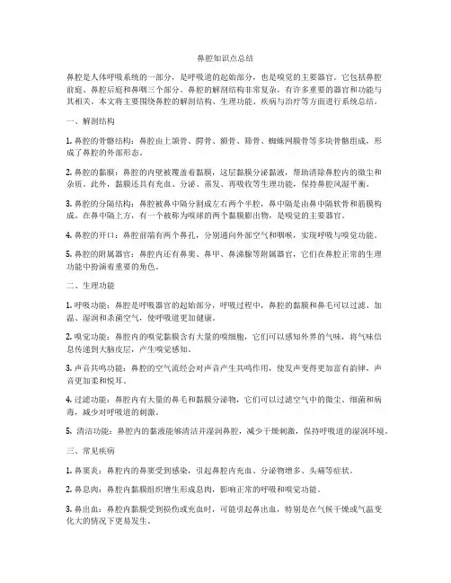 鼻腔知识点总结