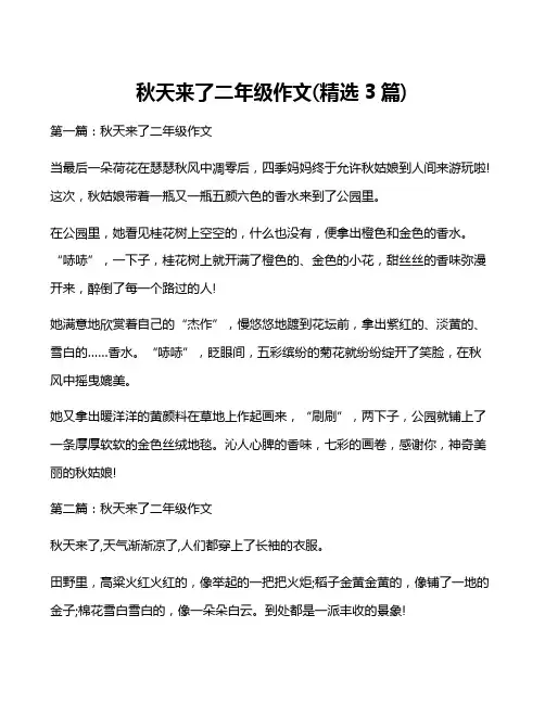 秋天来了二年级作文(精选3篇)