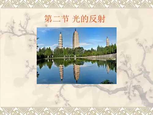 光的反射资料