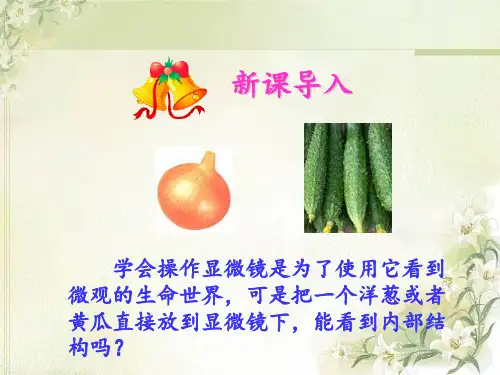 《观察植物细胞》 ppt课件