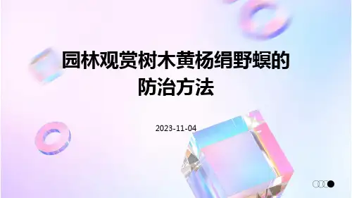 园林观赏树木黄杨绢野螟的防治方法