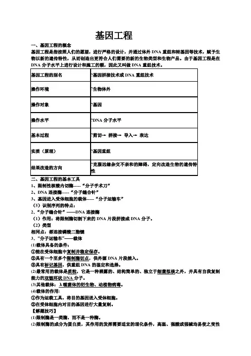 基因工程知识点 超全