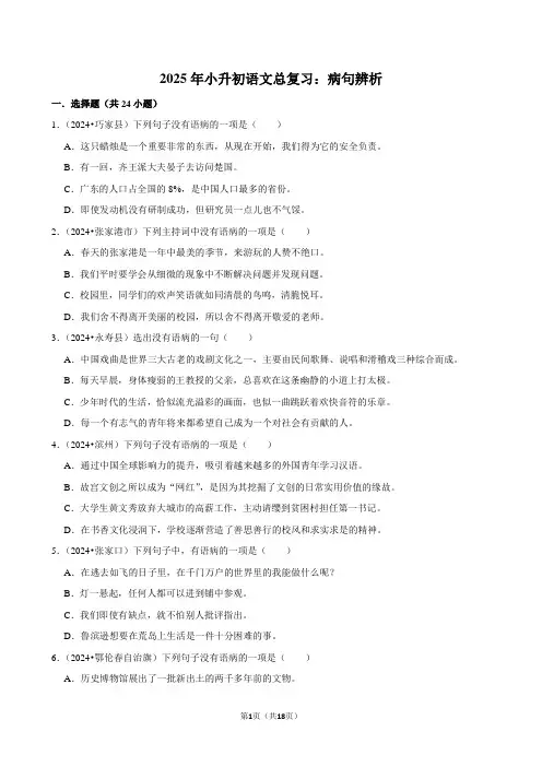 2025年小升初语文总复习：病句辨析附答案解析